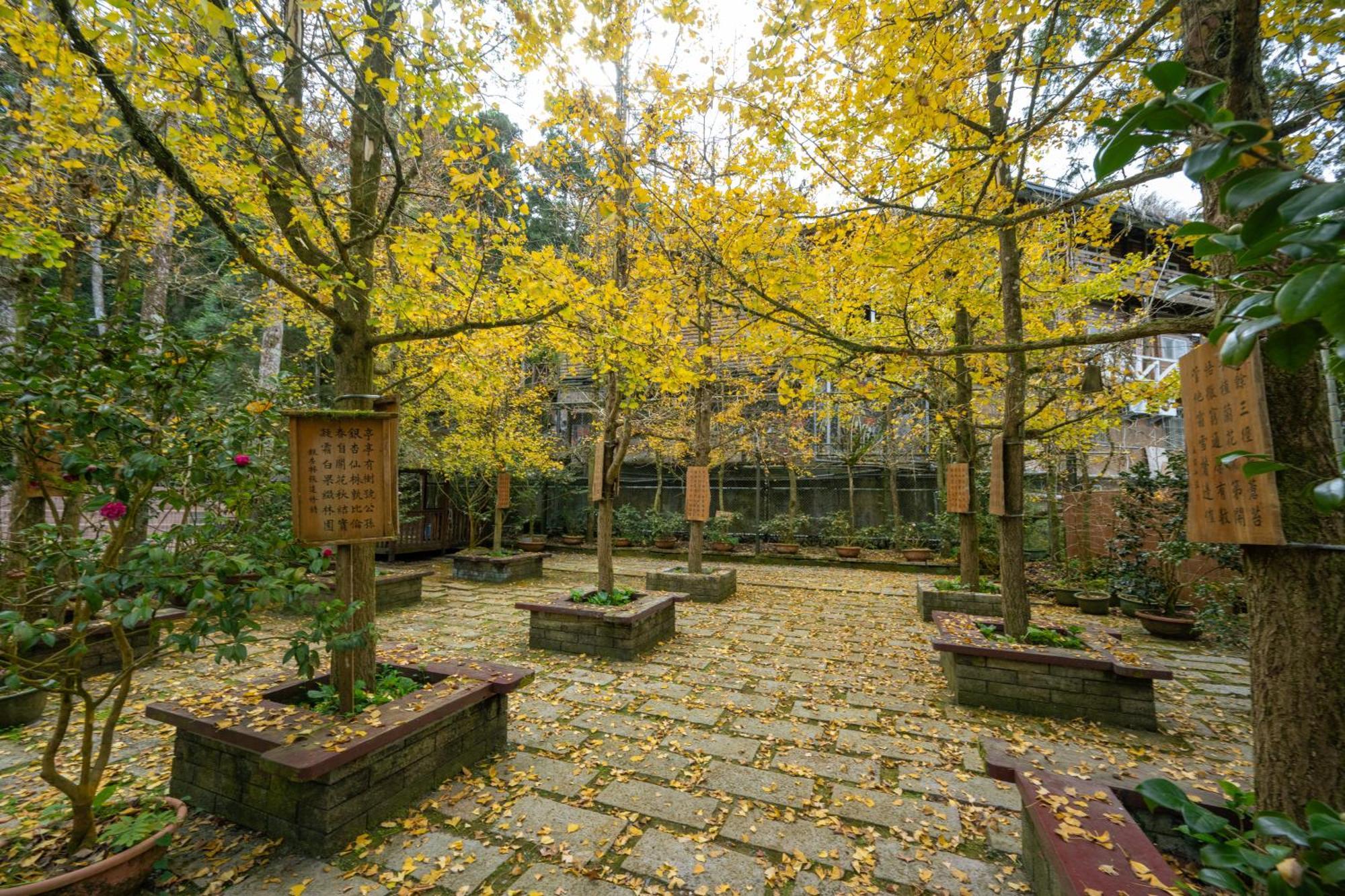 Ginkgo Hotel Lugu Zewnętrze zdjęcie