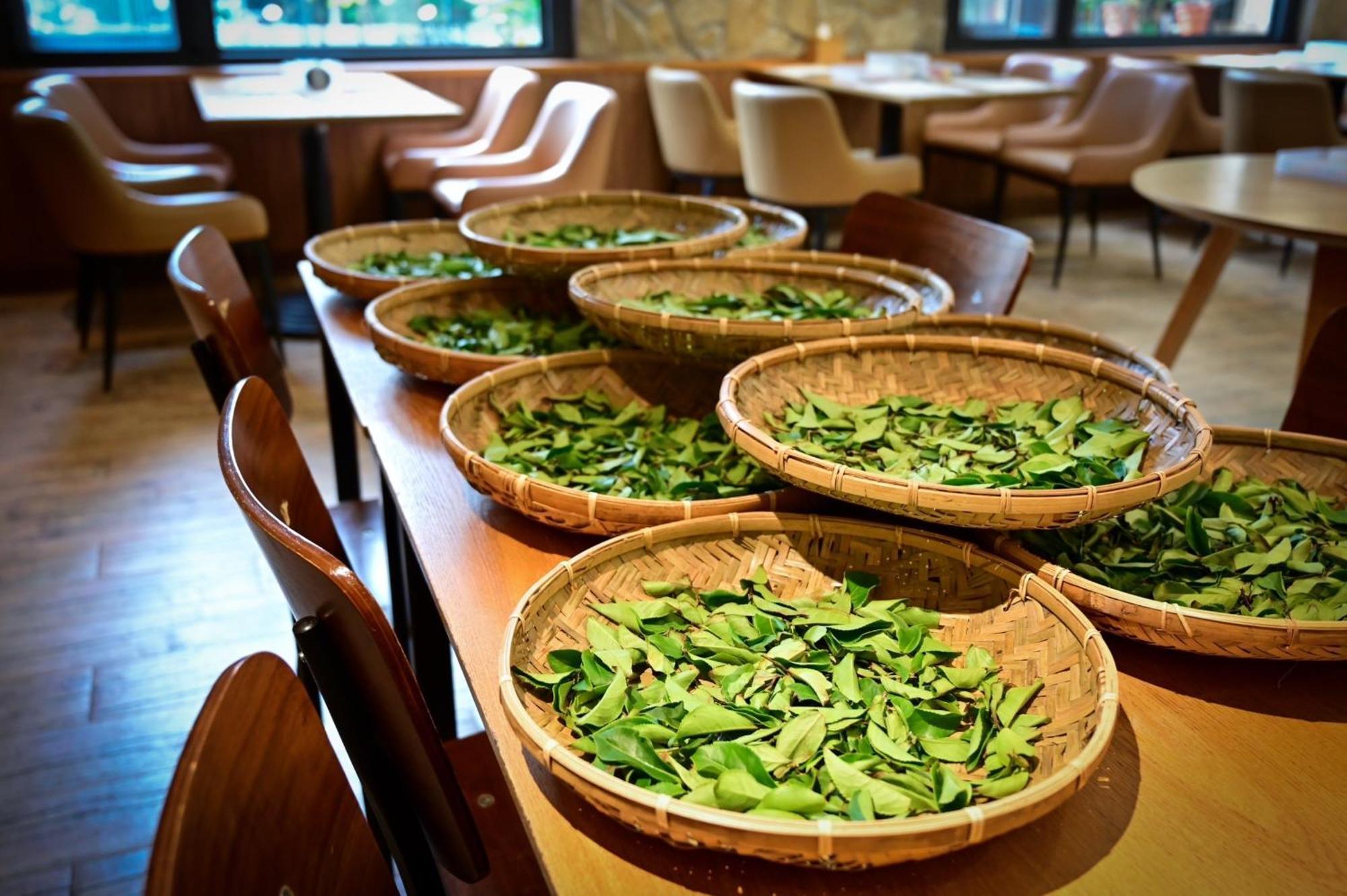Ginkgo Hotel Lugu Zewnętrze zdjęcie